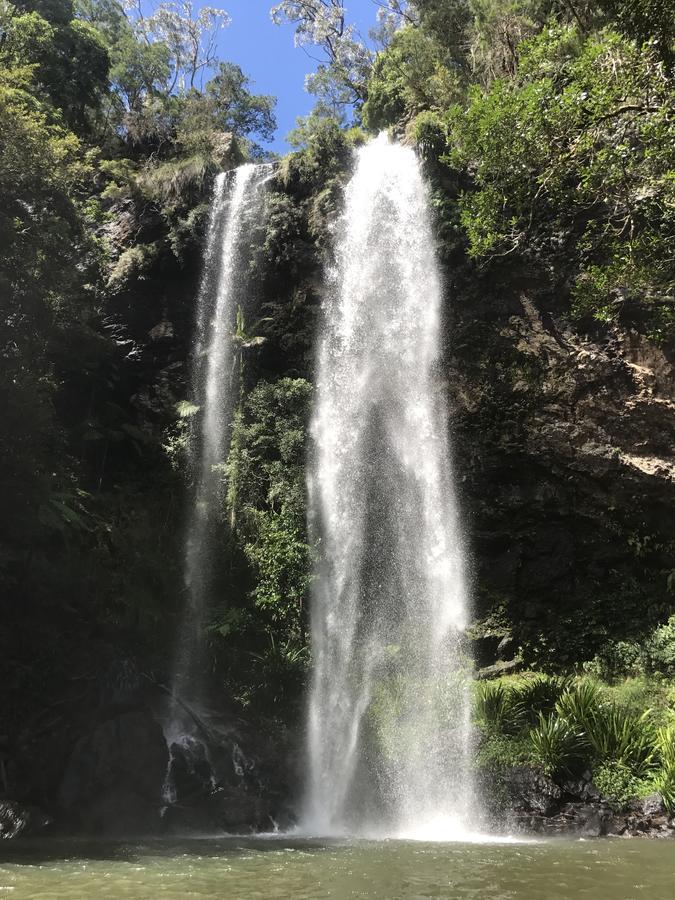 Purling Brook Falls Gwongorella Hotel Springbrook Kültér fotó