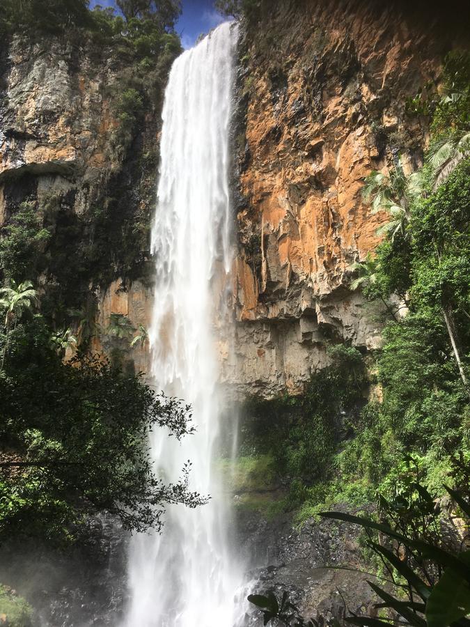 Purling Brook Falls Gwongorella Hotel Springbrook Kültér fotó