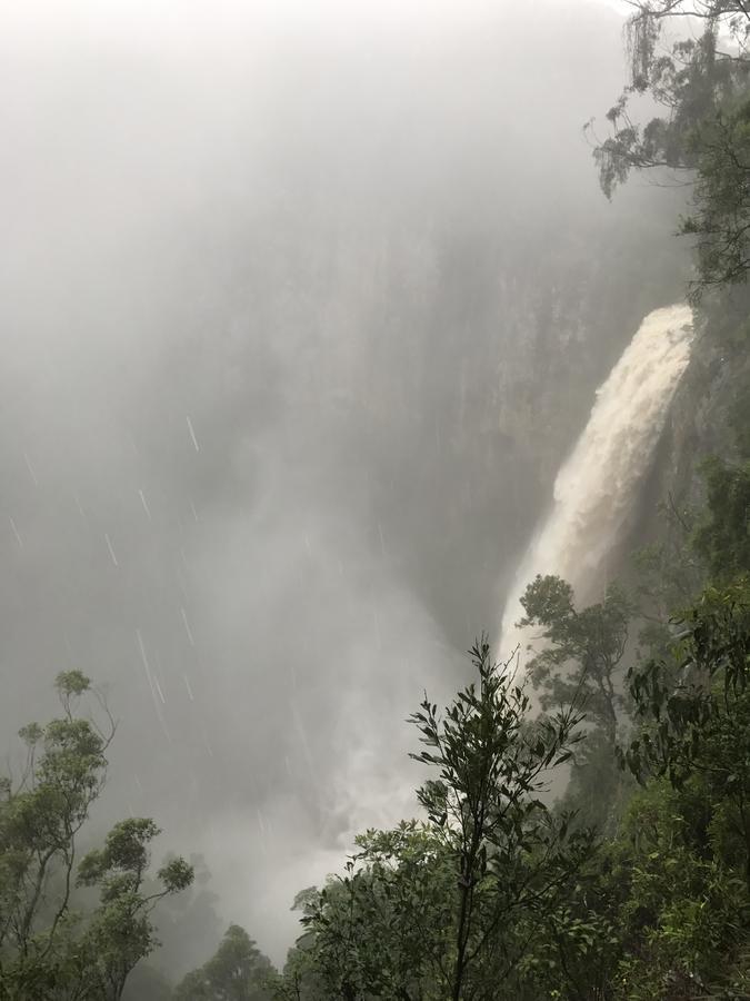 Purling Brook Falls Gwongorella Hotel Springbrook Kültér fotó